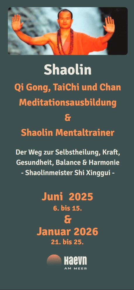 Flyer Kurse und Ausbildungen im HAEVN an Meer